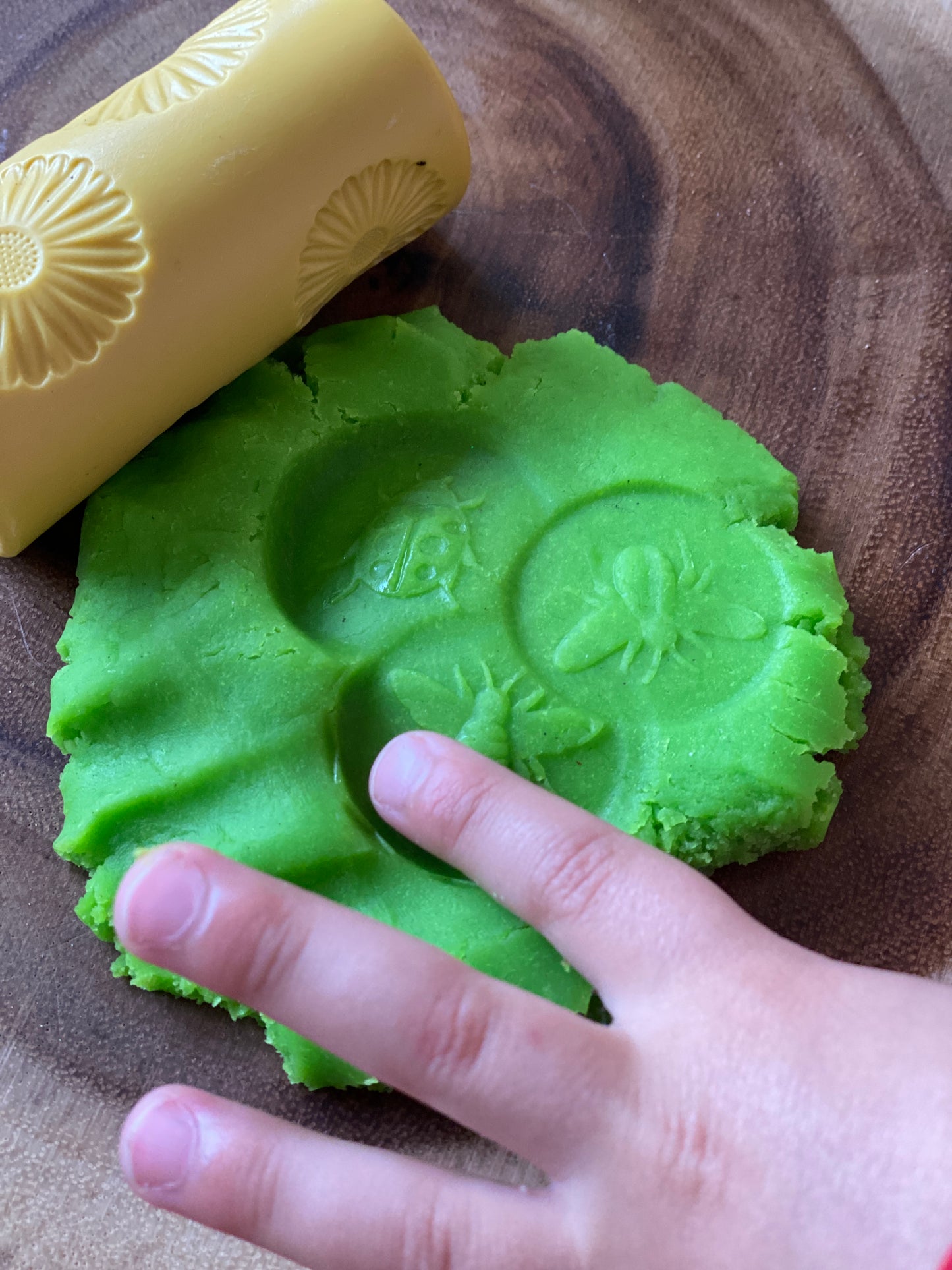 Yellow Door Let's Roll – Garden Bugs