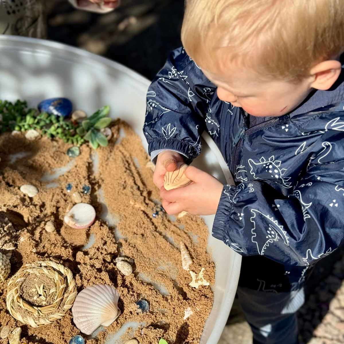 Yellow Door Seashells – Sensory Play Stones