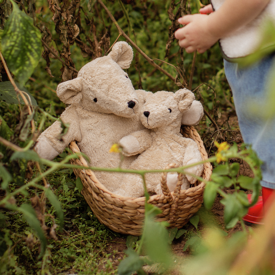Two teddy bears in a woven basket surrounded by greenery and a person's legs in the background.