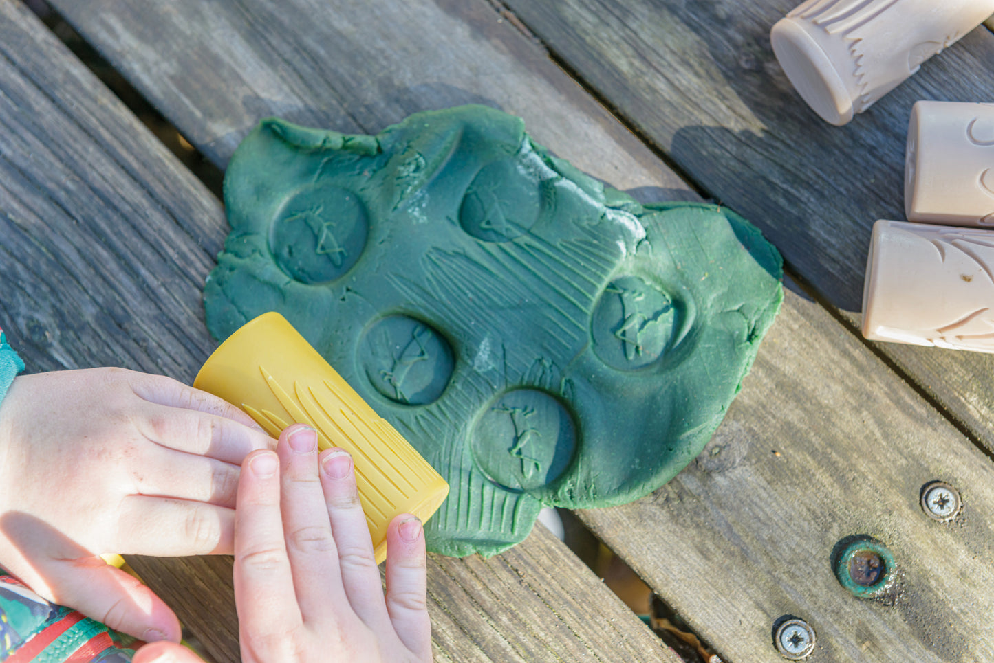 Yellow Door Let's Roll – Garden Bugs