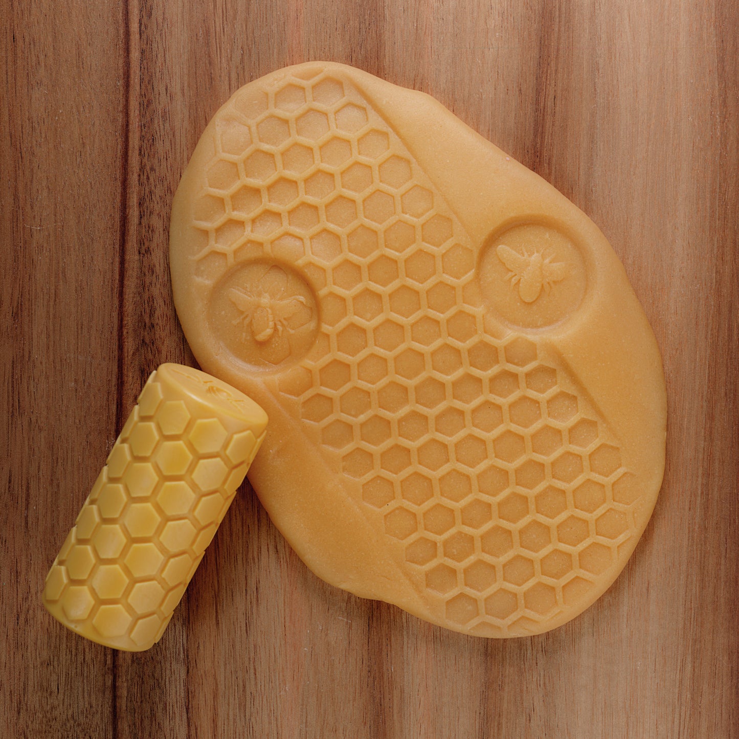 Yellow Door Let's Roll – Garden Bugs