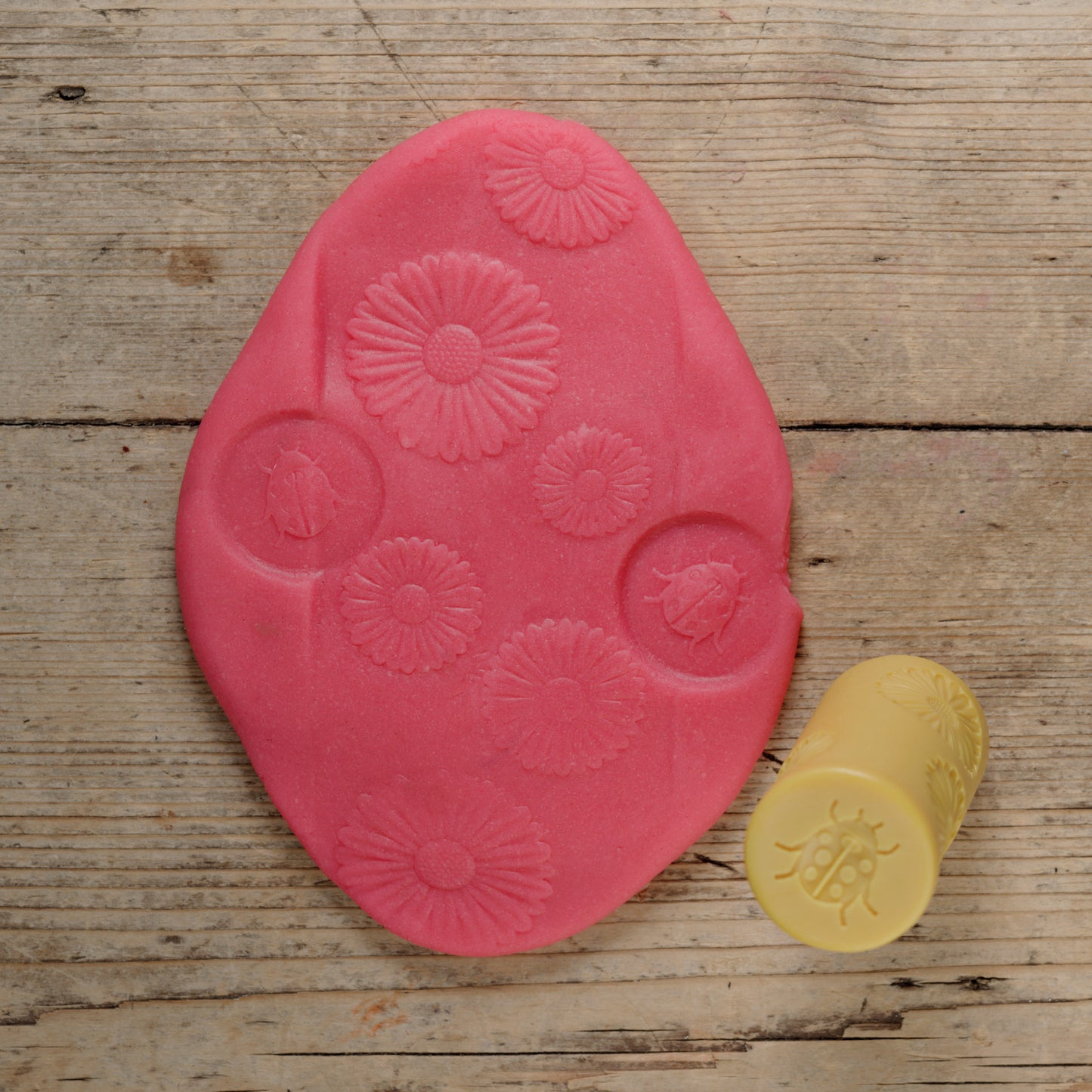 Yellow Door Let's Roll – Garden Bugs