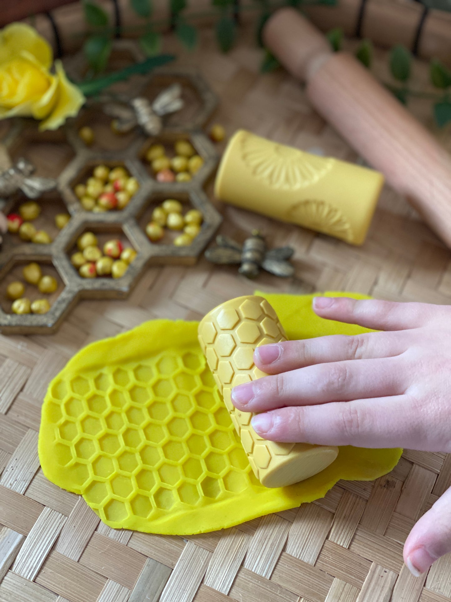 Yellow Door Let's Roll – Garden Bugs