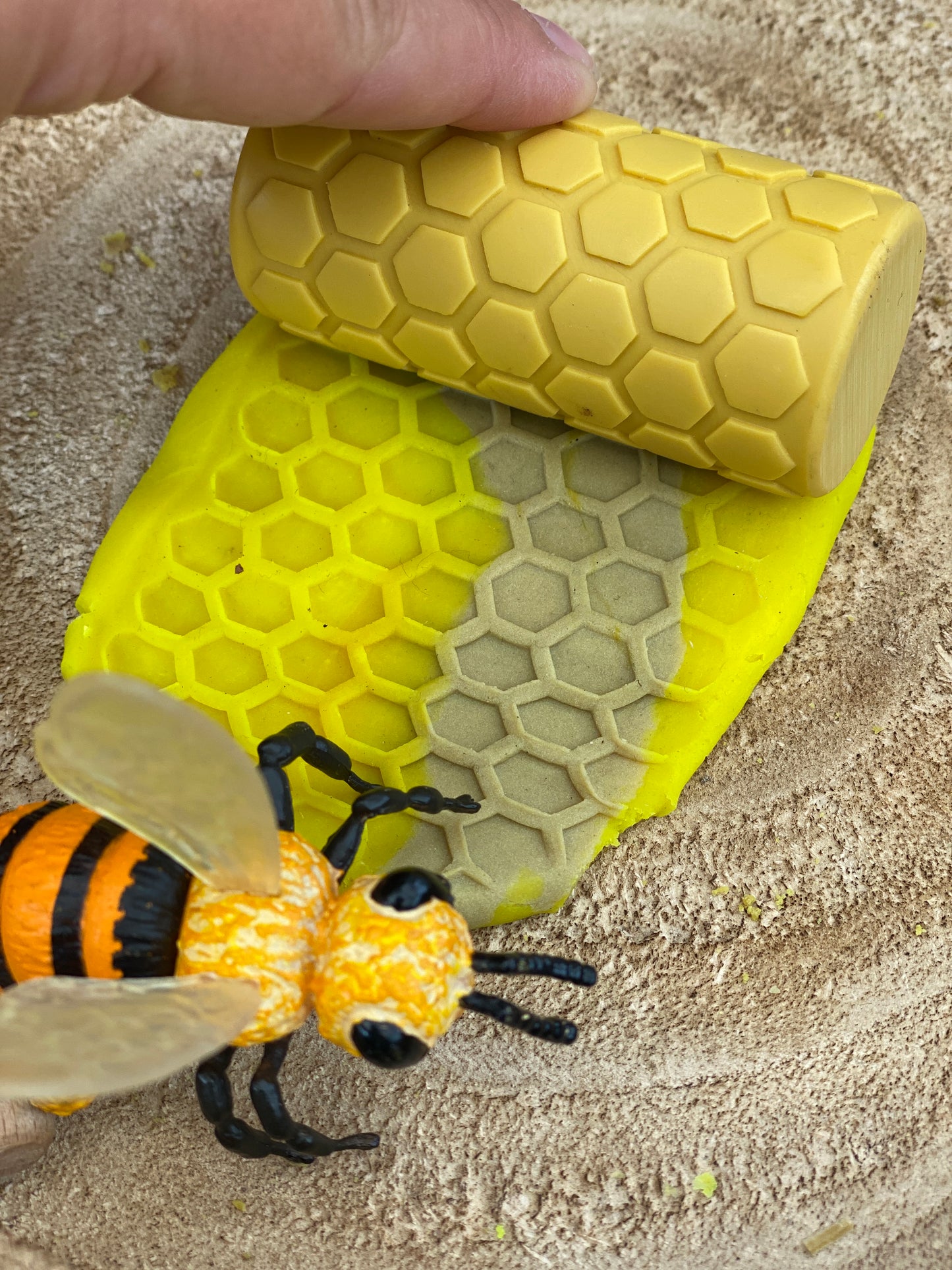 Yellow Door Let's Roll – Garden Bugs