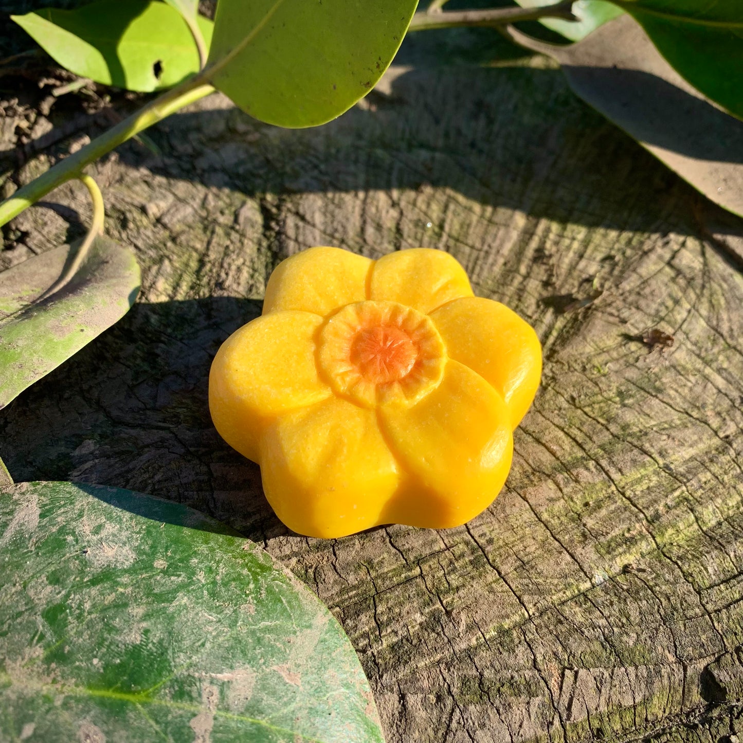 Yellow Door Flowers – Sensory Play Stones