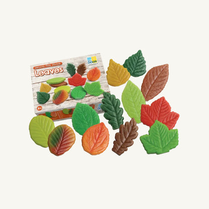 Colorful leaf-shaped sensory stones with a packaging box labeled 'Leaves' on a white background.