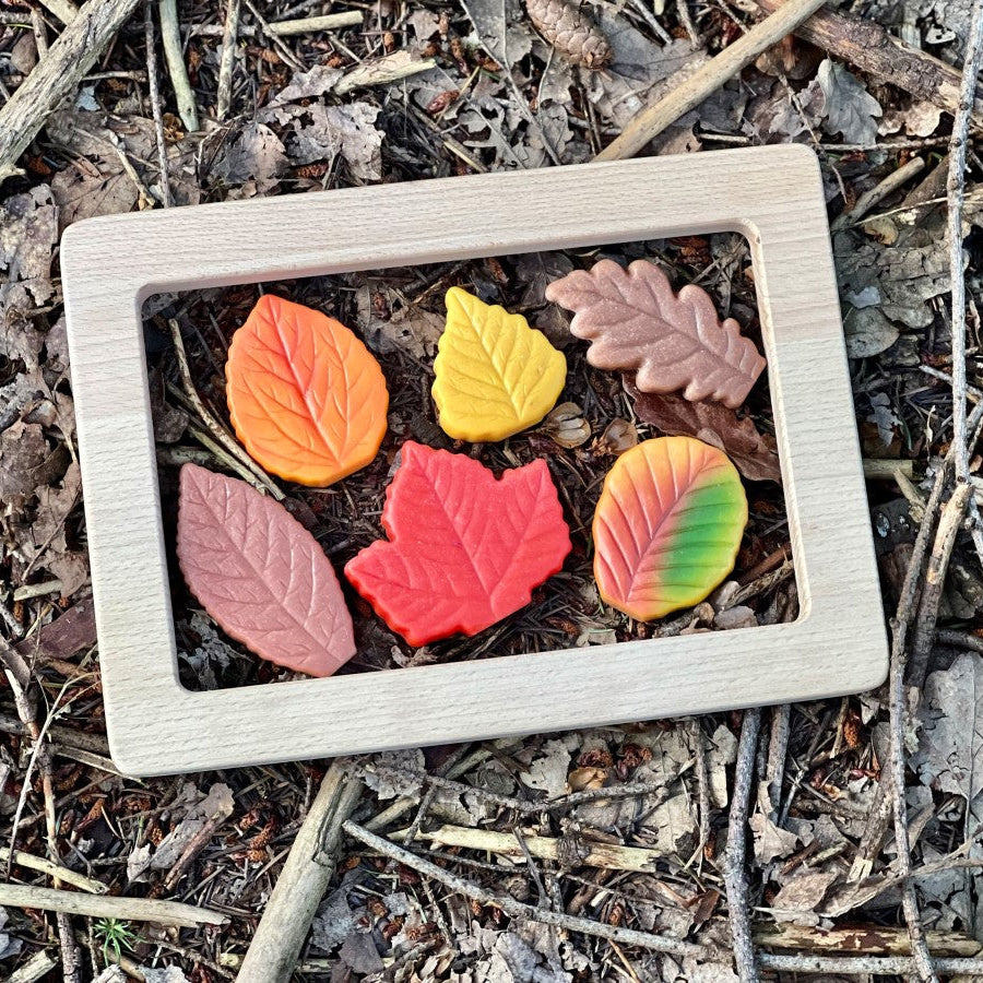 A rectangular light wood tray containing six colorful, textured leaf-shaped pieces in orange, yellow, red, green, and brown, placed on a bed of dry leaves and twigs outdoors.