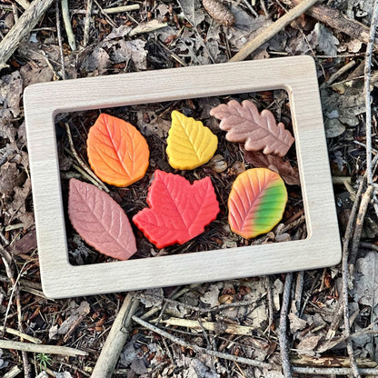 A rectangular light wood tray containing six colorful, textured leaf-shaped pieces in orange, yellow, red, green, and brown, placed on a bed of dry leaves and twigs outdoors.