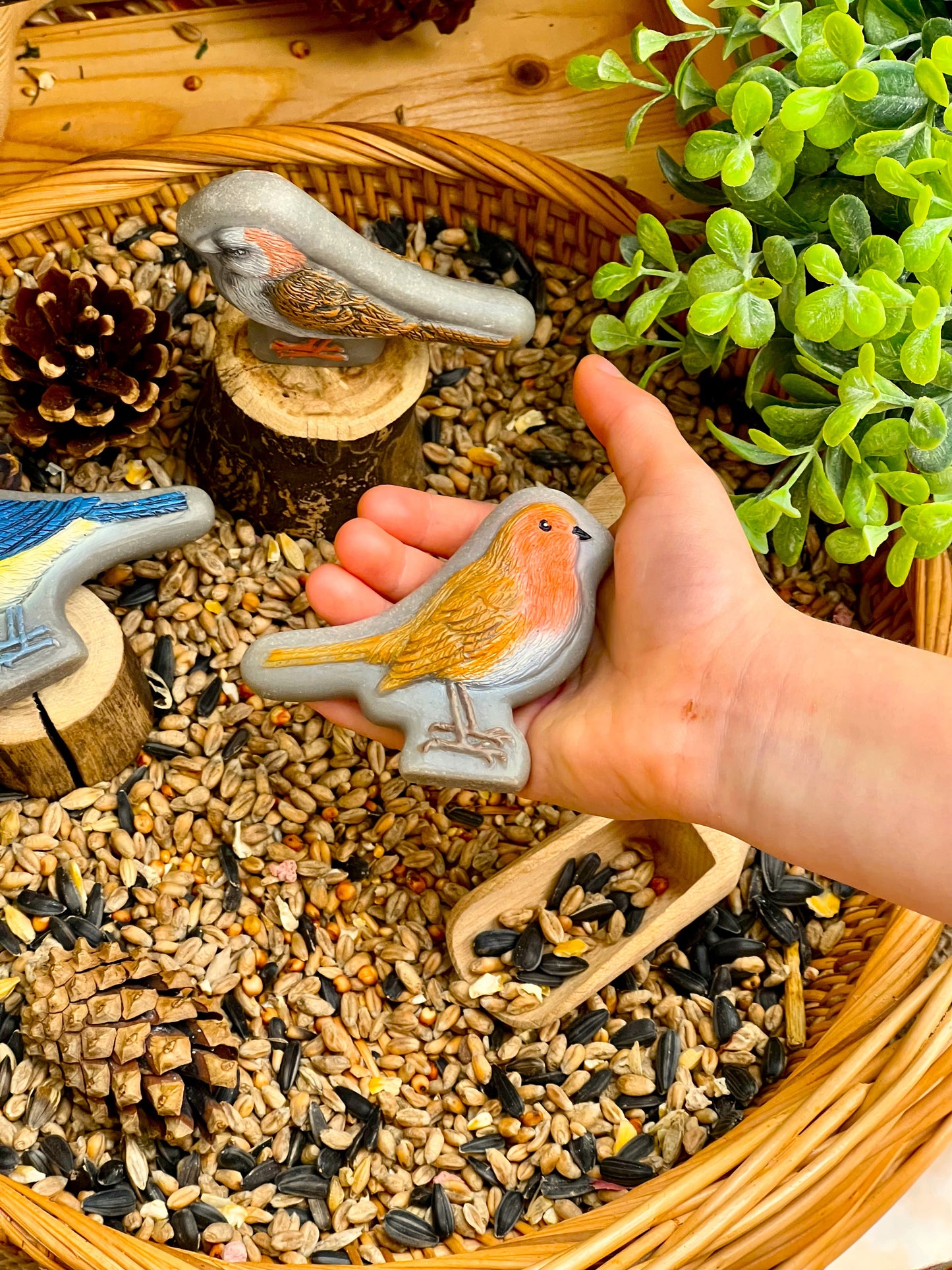 Yellow Door Birds – Sensory Play Stones