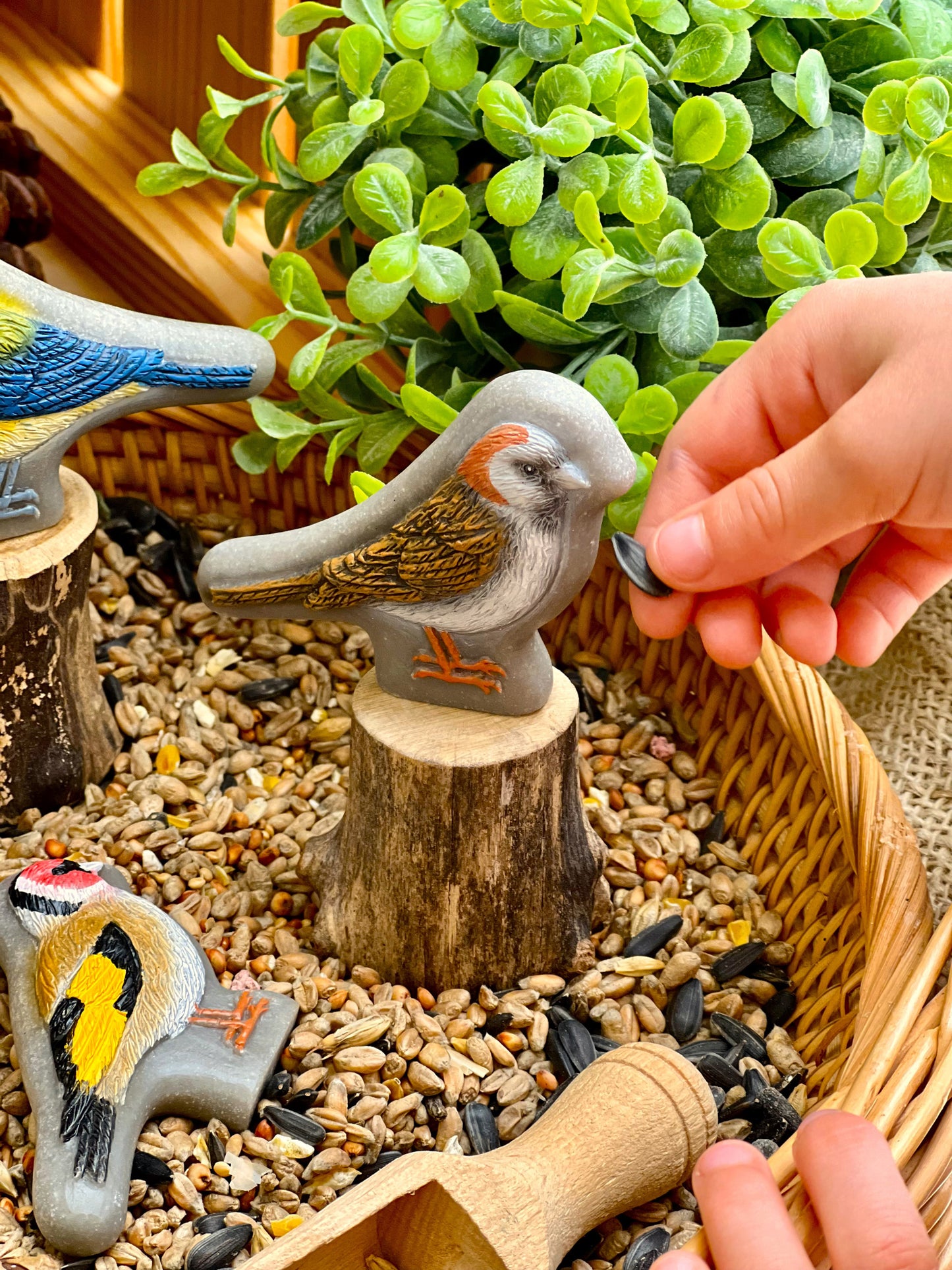 Yellow Door Birds – Sensory Play Stones