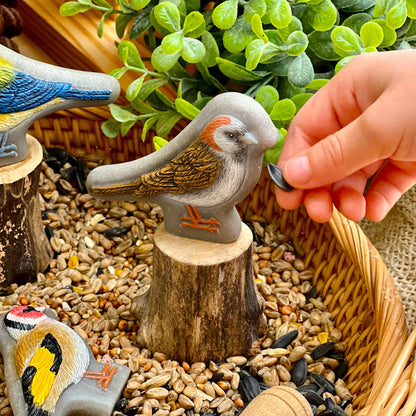 Yellow Door Birds – Sensory Play Stones