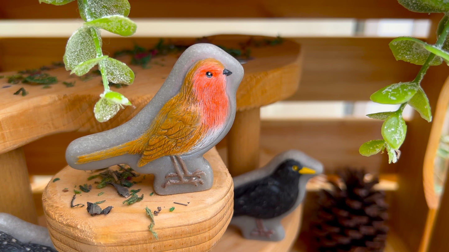 Yellow Door Birds – Sensory Play Stones