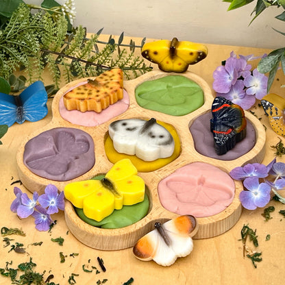 Yellow Door Butterflies – Sensory Play Stones