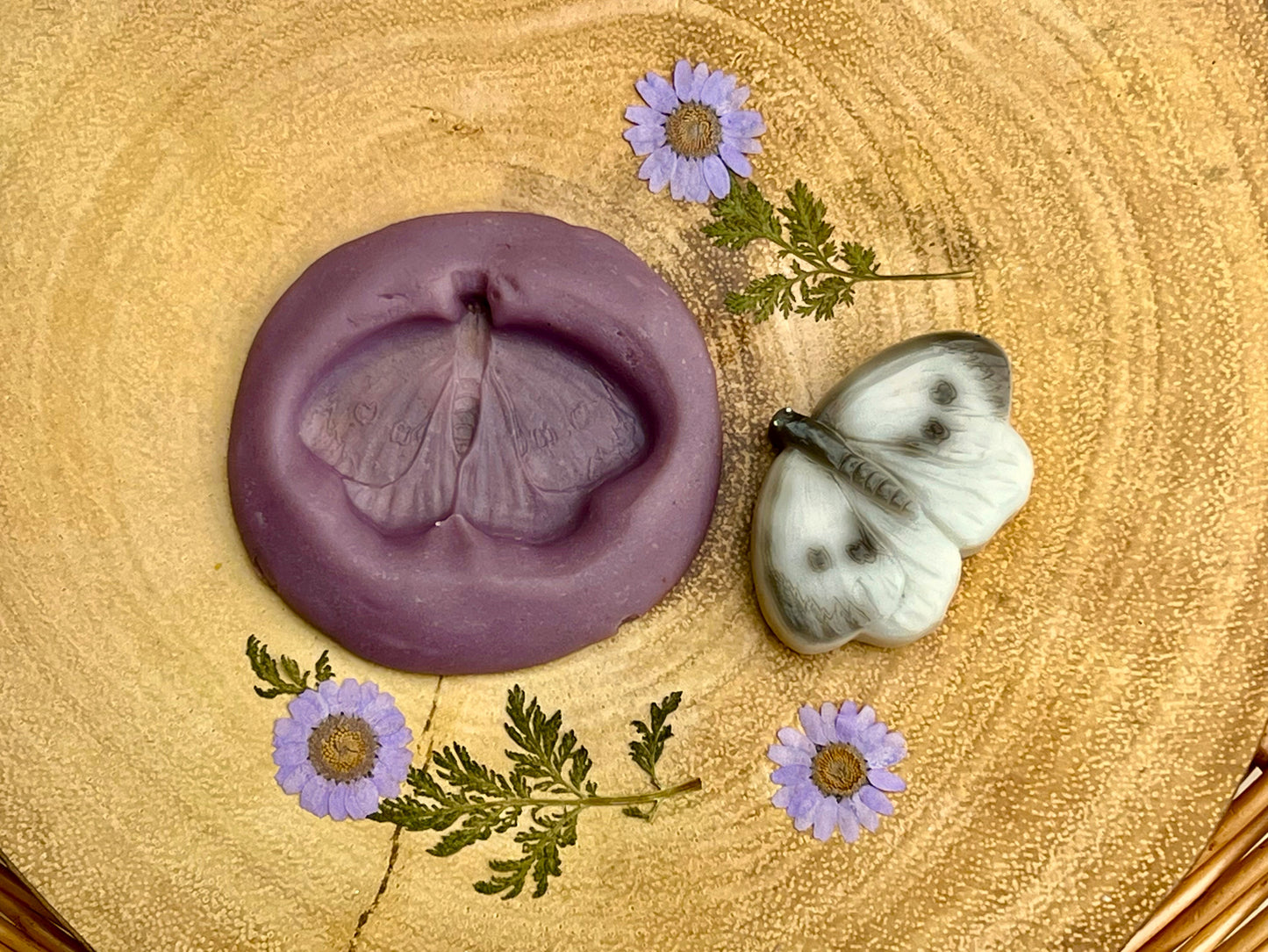 Yellow Door Butterflies – Sensory Play Stones