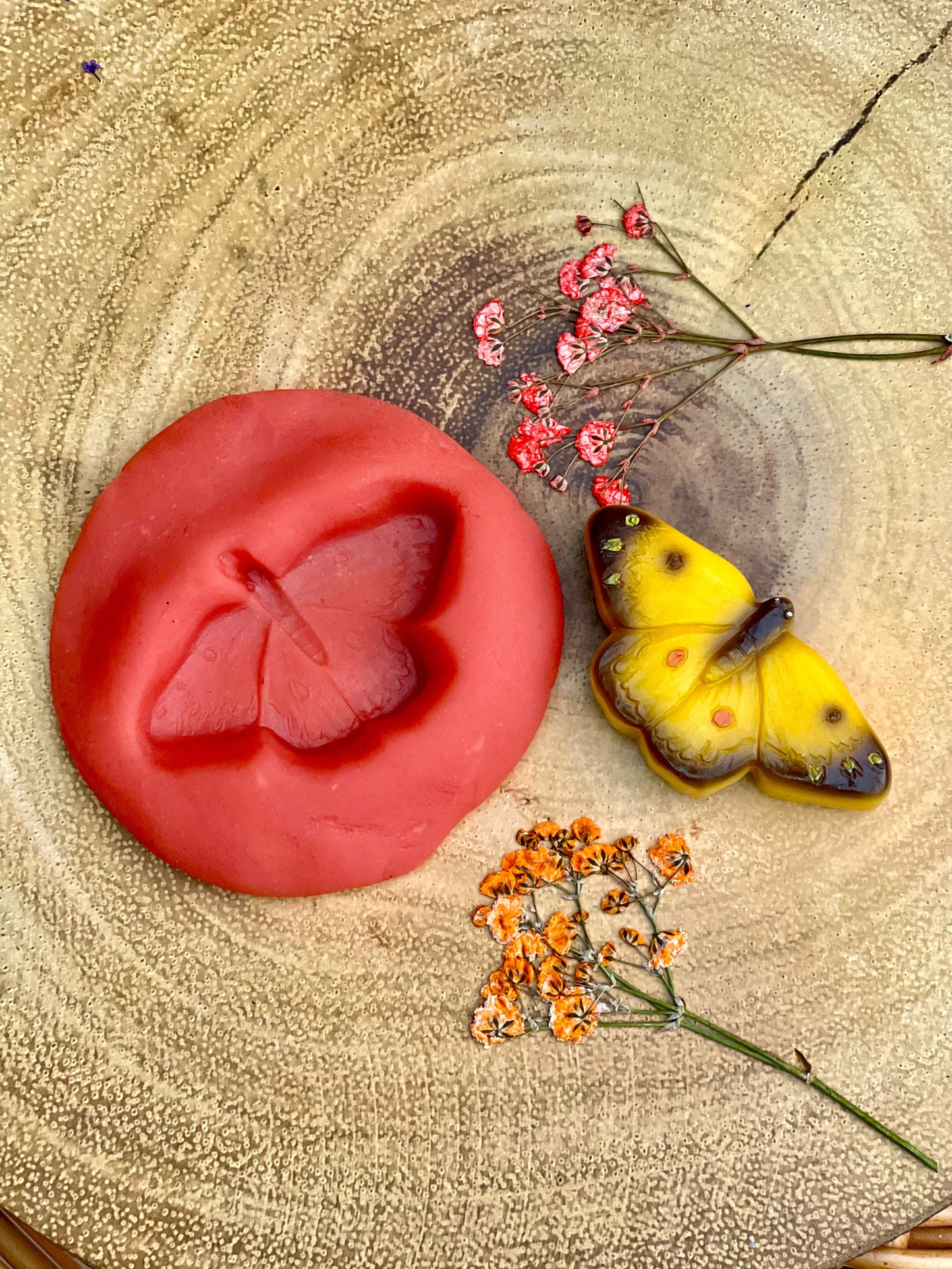 Yellow Door Butterflies – Sensory Play Stones