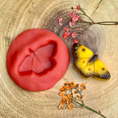 Yellow Door Butterflies – Sensory Play Stones