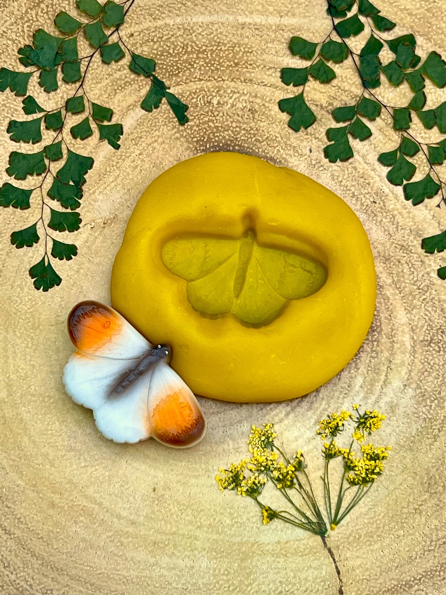 Yellow Door Butterflies – Sensory Play Stones