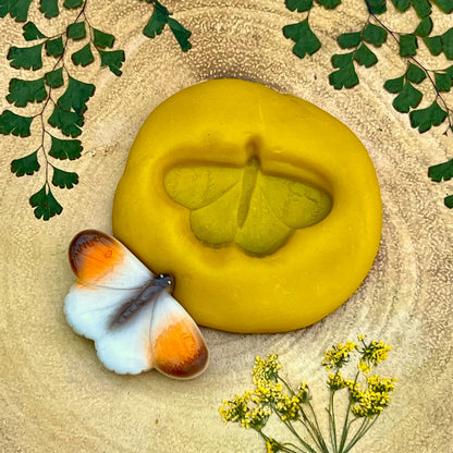 Yellow Door Butterflies – Sensory Play Stones