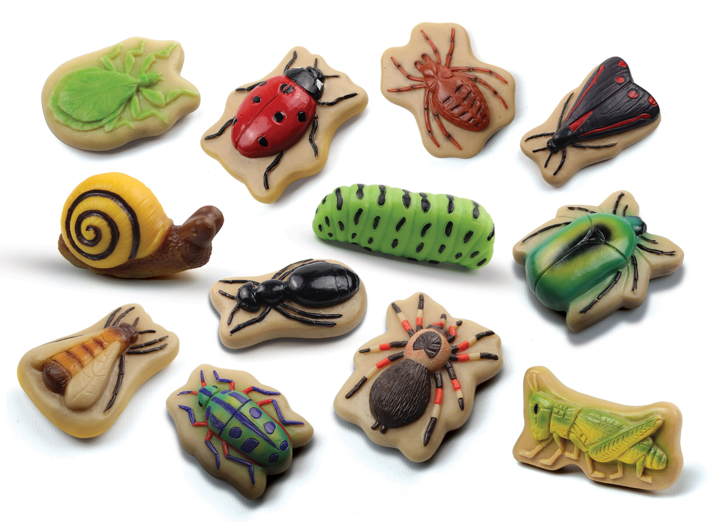 Yellow Door Bugs – Sensory Play Stones