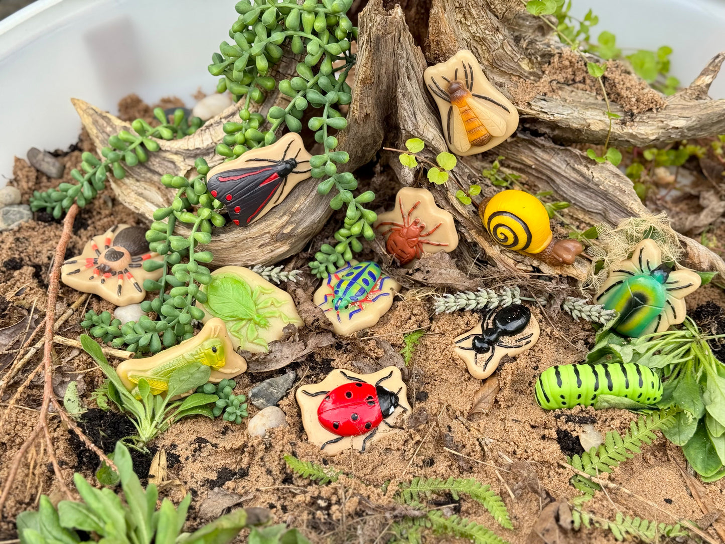 Yellow Door Bugs – Sensory Play Stones