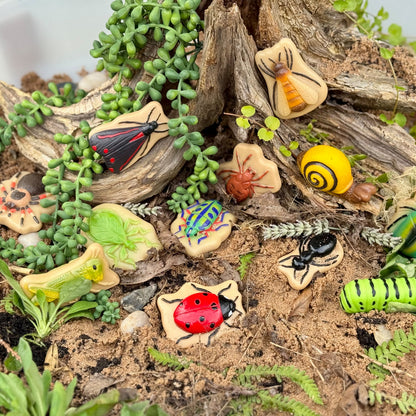Yellow Door Bugs – Sensory Play Stones