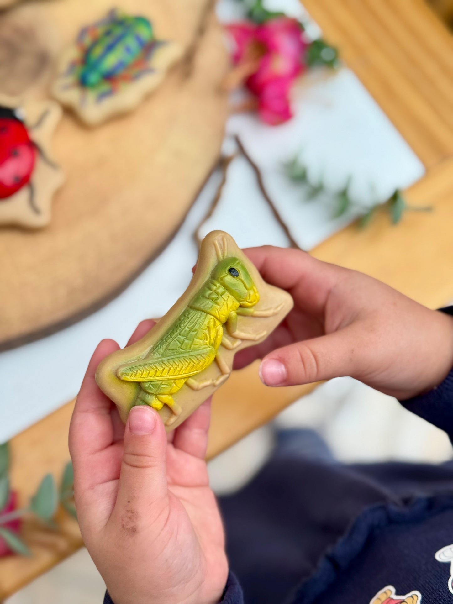 Yellow Door Bugs – Sensory Play Stones