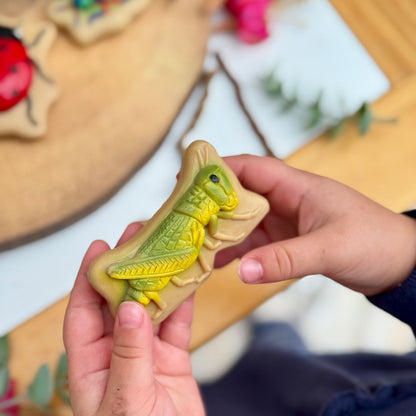 Yellow Door Bugs – Sensory Play Stones
