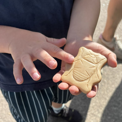 Yellow Door Bugs – Sensory Play Stones