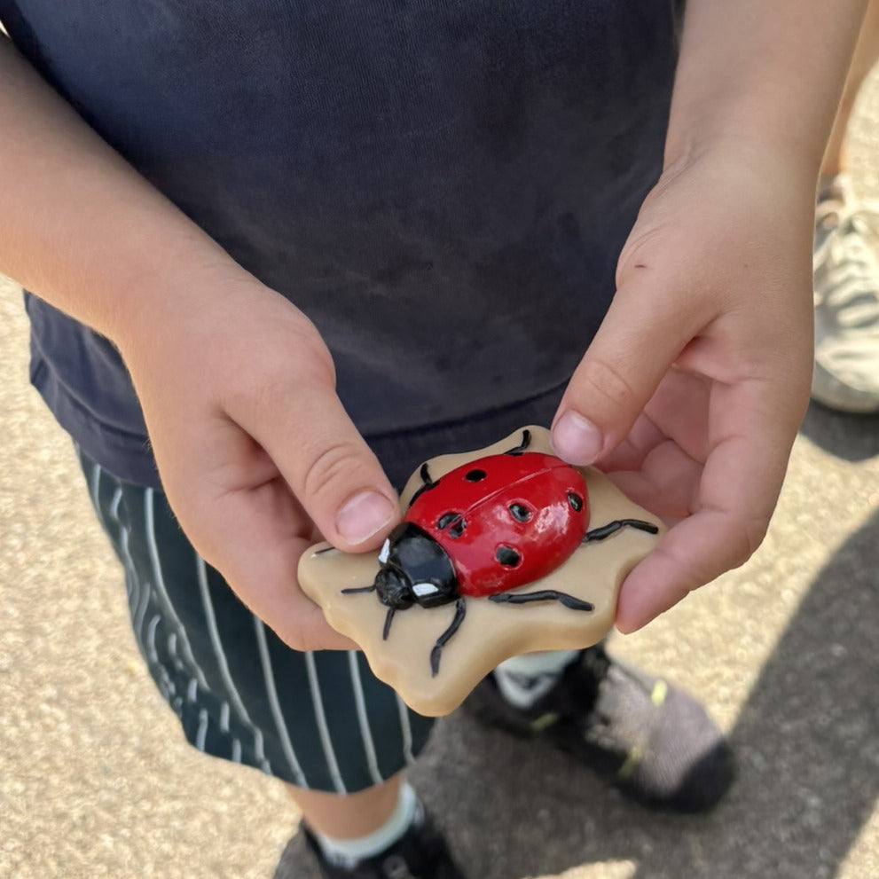 Yellow Door Bugs – Sensory Play Stones