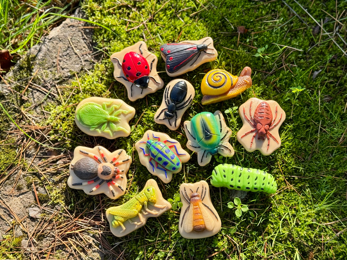Yellow Door Bugs – Sensory Play Stones
