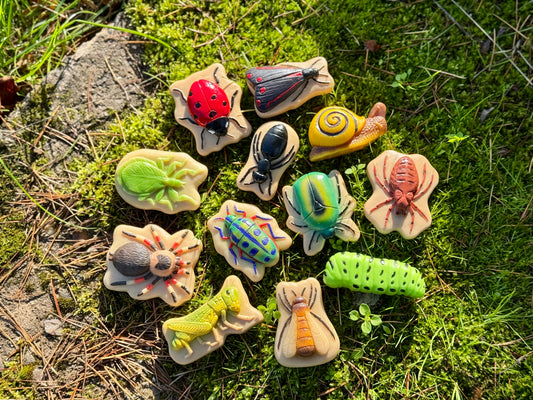 Yellow Door Bugs – Sensory Play Stones