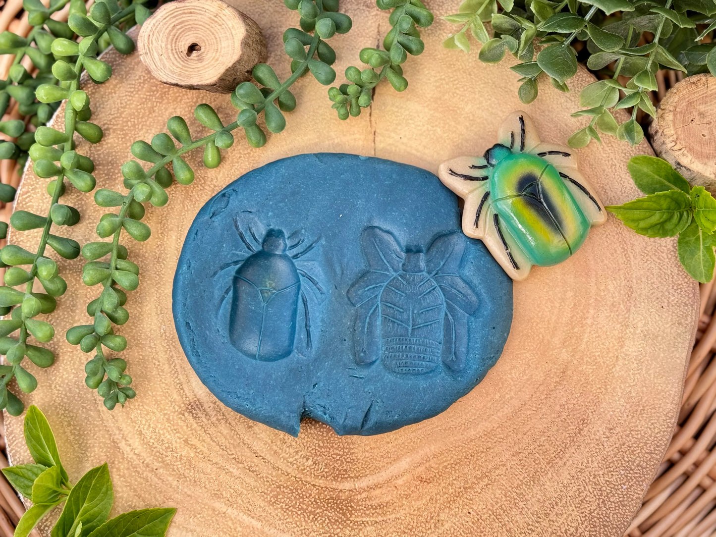 Yellow Door Bugs – Sensory Play Stones