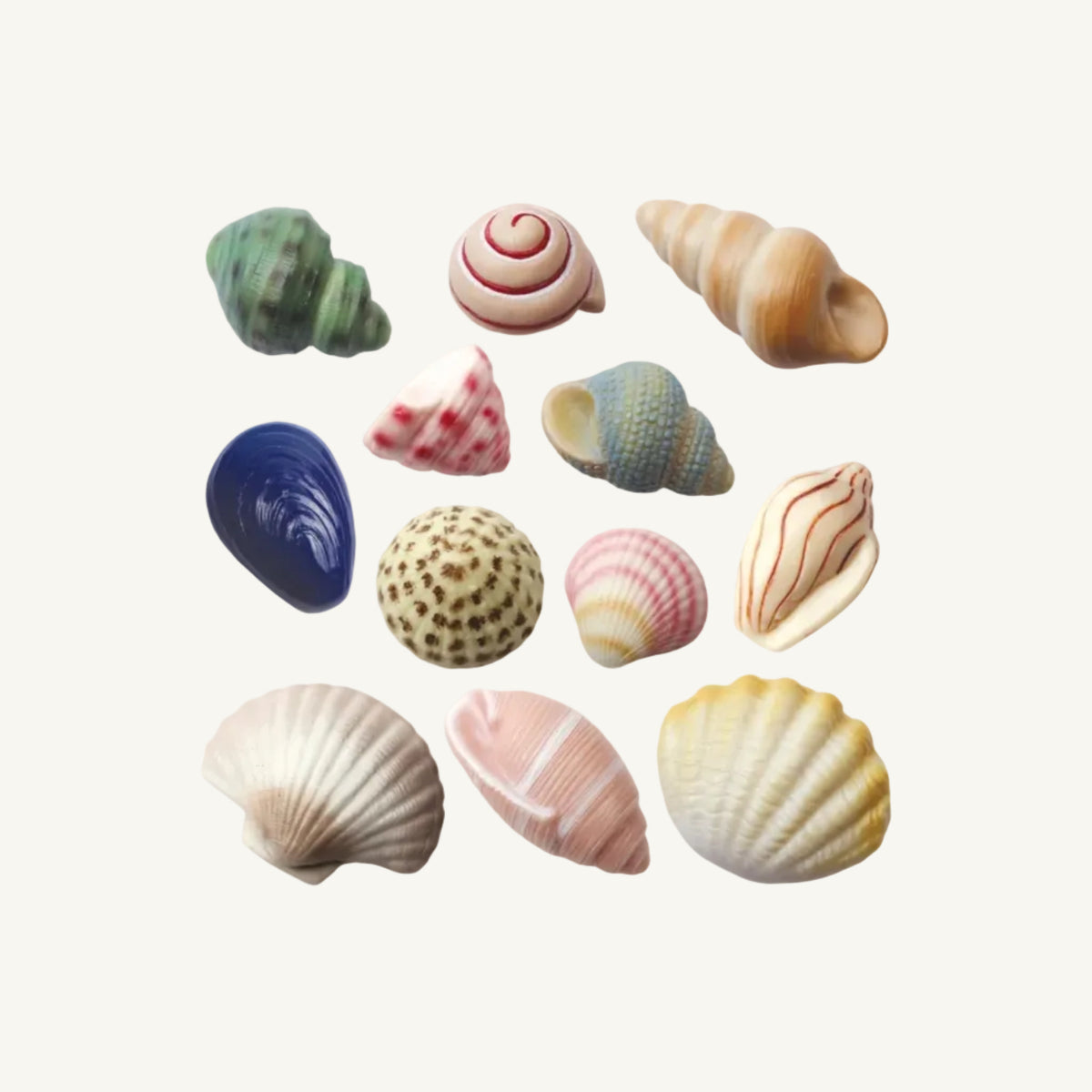 A collection of twelve different real sea shells and clams arranged on a clean white background, showcasing a variety of colors and patterns.