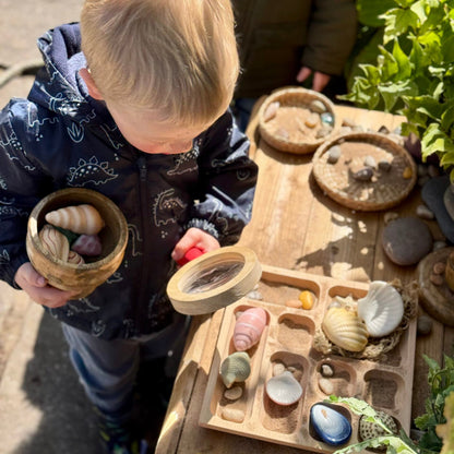 Yellow Door Seashells – Sensory Play Stones