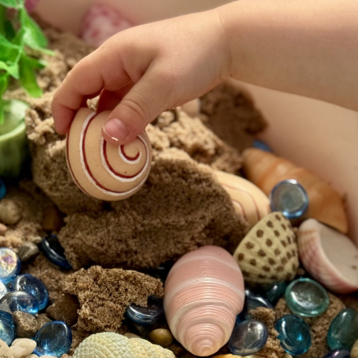 Yellow Door Seashells – Sensory Play Stones