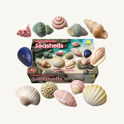 A box of Yellow Door Seashells sensory toy stones surrounded by 12 assorted seashells on a plain off-white background.