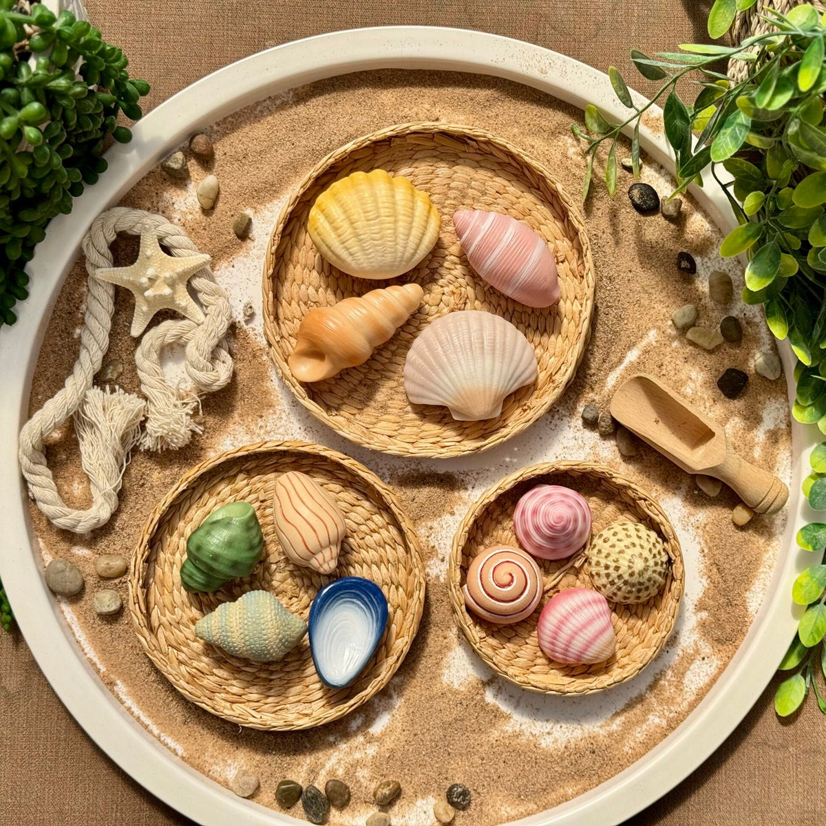 Yellow Door Seashells – Sensory Play Stones