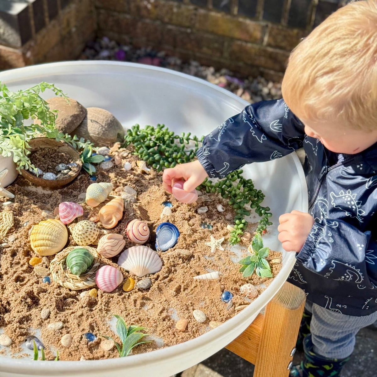 Yellow Door Seashells – Sensory Play Stones