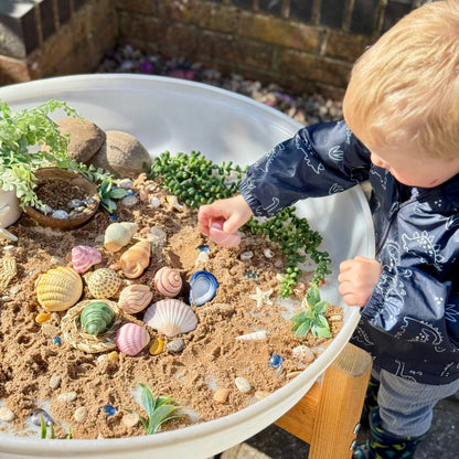 Yellow Door Seashells – Sensory Play Stones