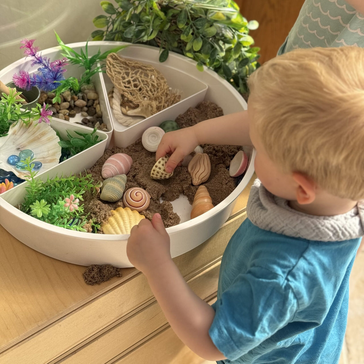 Yellow Door Seashells – Sensory Play Stones