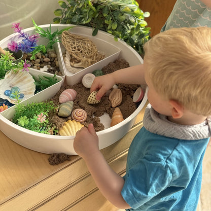 Yellow Door Seashells – Sensory Play Stones