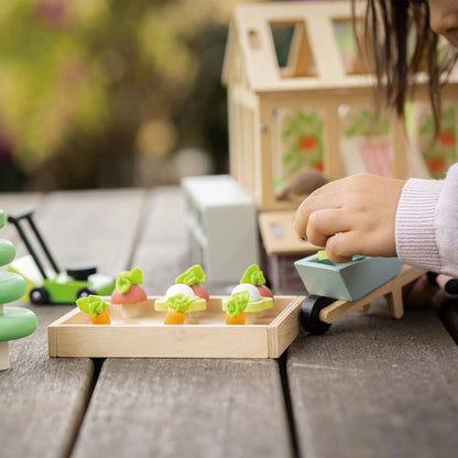Tender Leaf Greenhouse and Garden Set